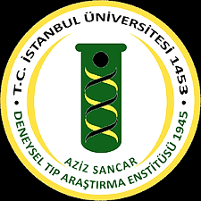 İSTANBUL ÜNİVERİSTESİ